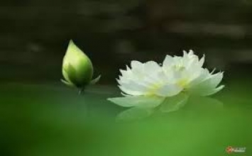 Thành thật trong nhạy bén